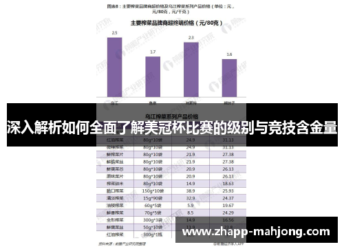 深入解析如何全面了解美冠杯比赛的级别与竞技含金量