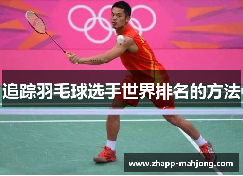 追踪羽毛球选手世界排名的方法